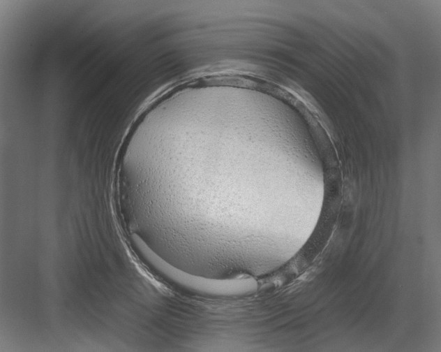 X0000082140850200702162141