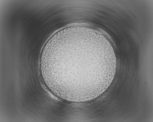 X0000082140852200702162141