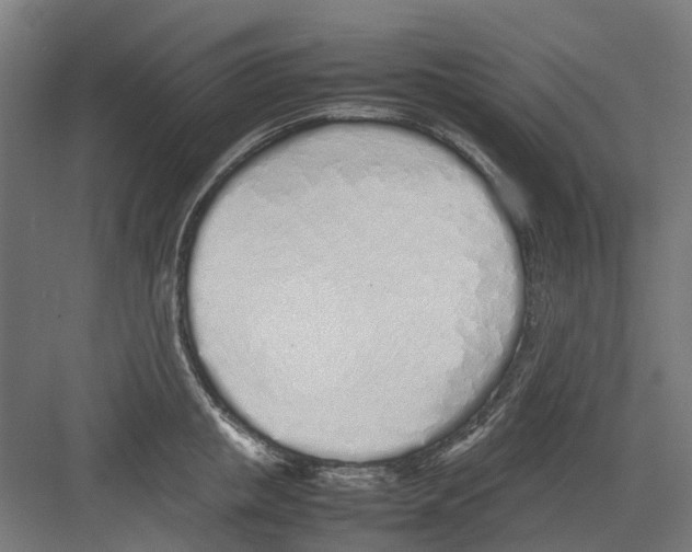 X0000082140853200702162141