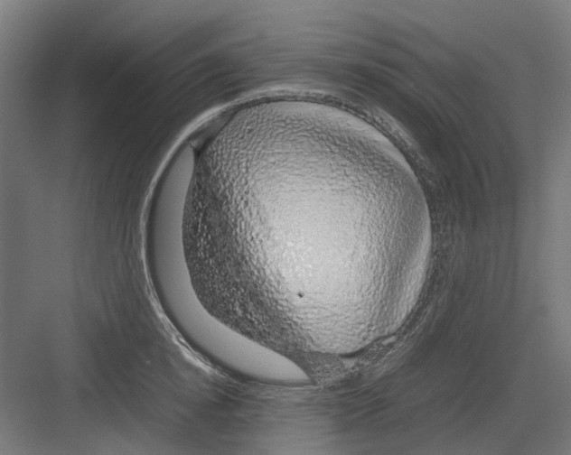 X0000082140854200702162141