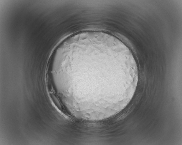 X0000082140855200702162141