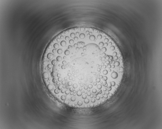 X0000082140856200702162141