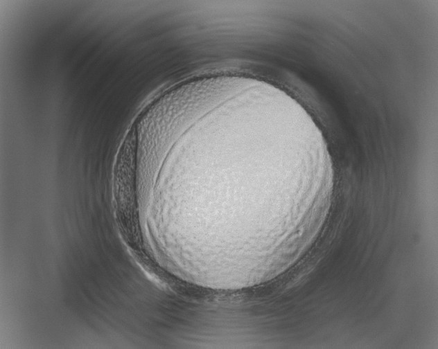 X0000082140858200702162141