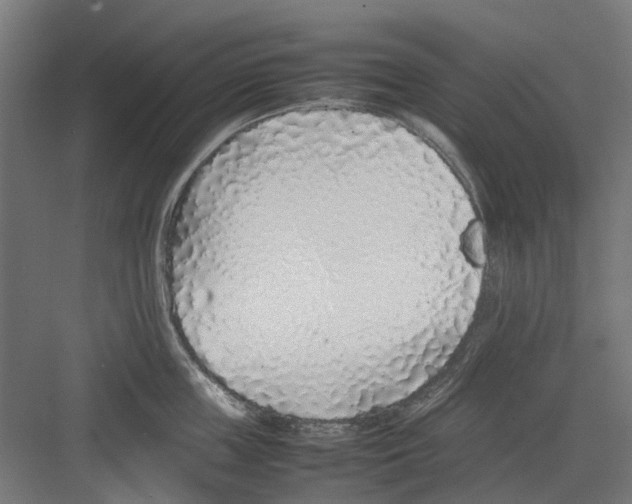 X0000082140859200702162141