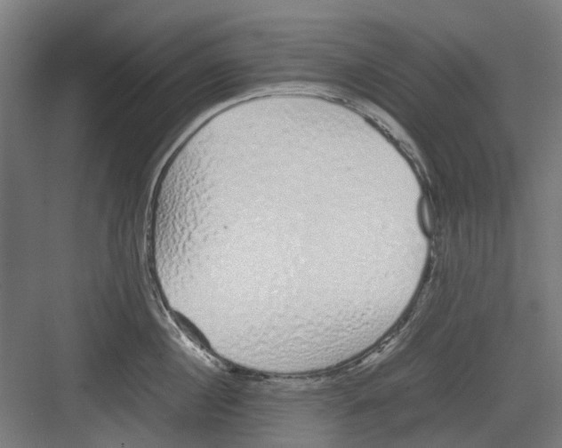 X0000082140860200702162141