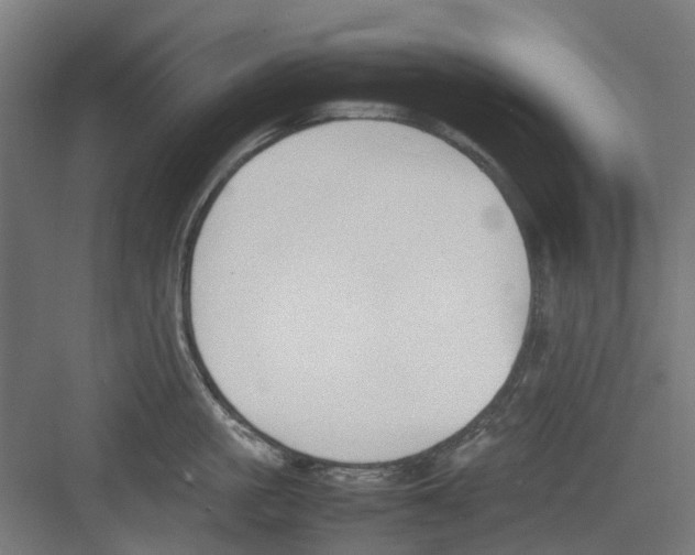 X0000082140861200702162141