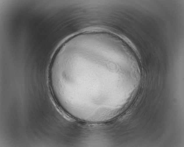 X0000082140862200702162141