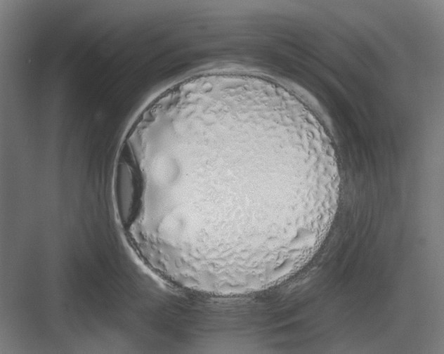 X0000082140863200702162141