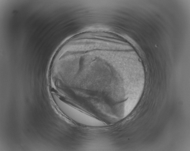 X0000082140864200702162141