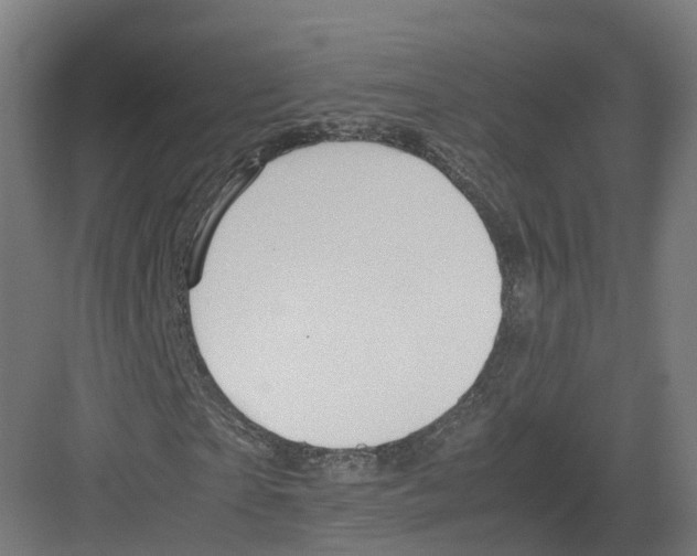 X0000082140865200702162140