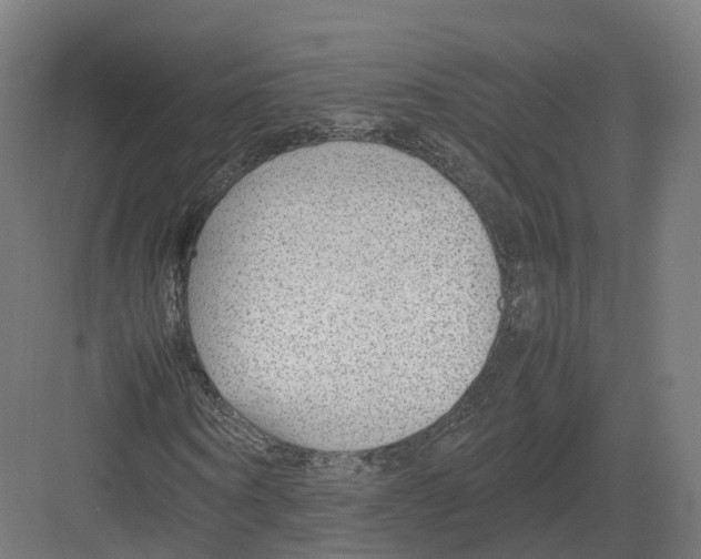 X0000082140866200702162140