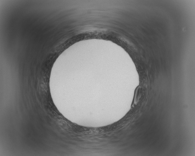 X0000082140869200702162140