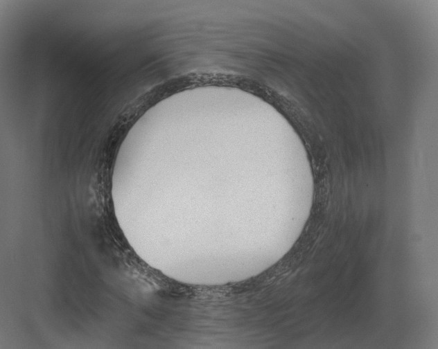 X0000082140870200702162140