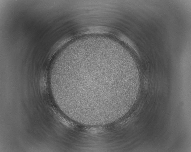 X0000082140874200702162140