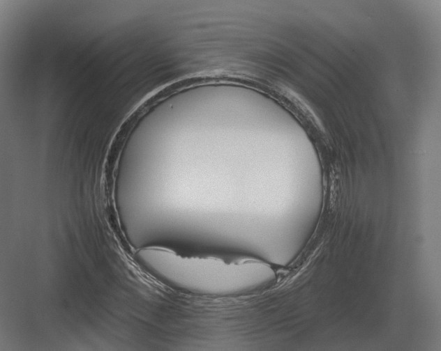 X0000082140876200702162140