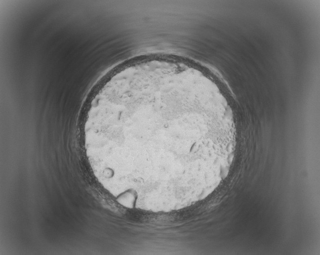 X0000082140879200702162140