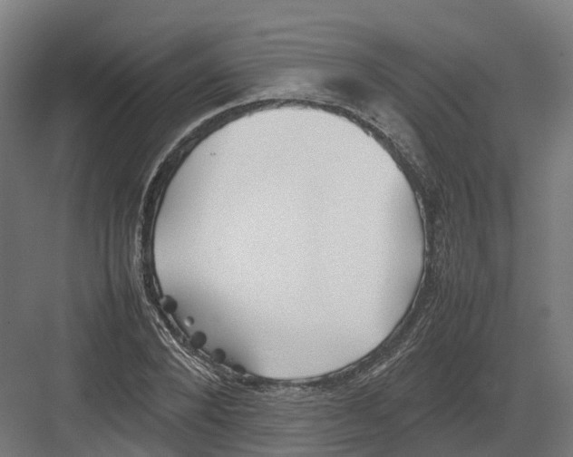 X0000082140880200702162140