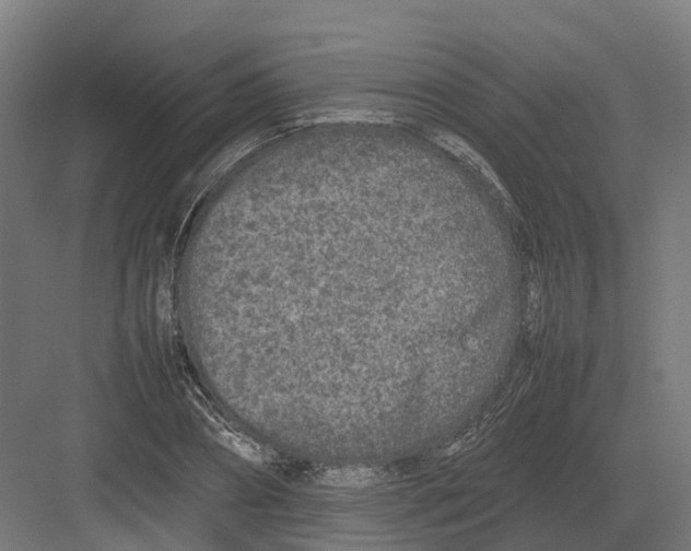 X0000082140882200702162140