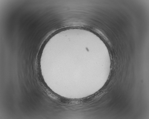 X0000082140883200702162140