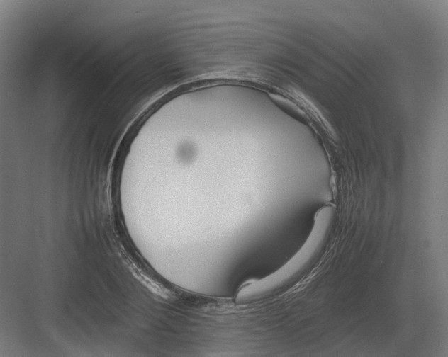 X0000082140884200702162140