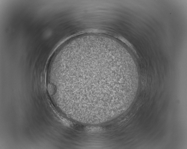 X0000082140886200702162140