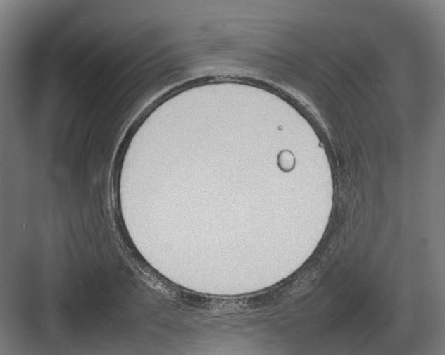 X0000082140887200702162140