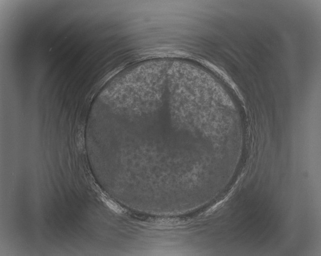 X0000082140889200702162140