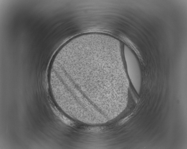 X0000082140892200702162140