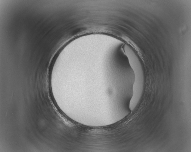 X0000082140894200702162140