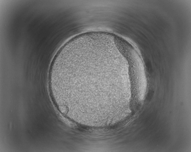 X0000082140895200702162140