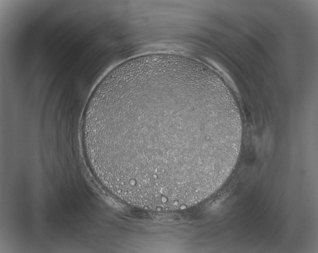 X0000082140899200702162139