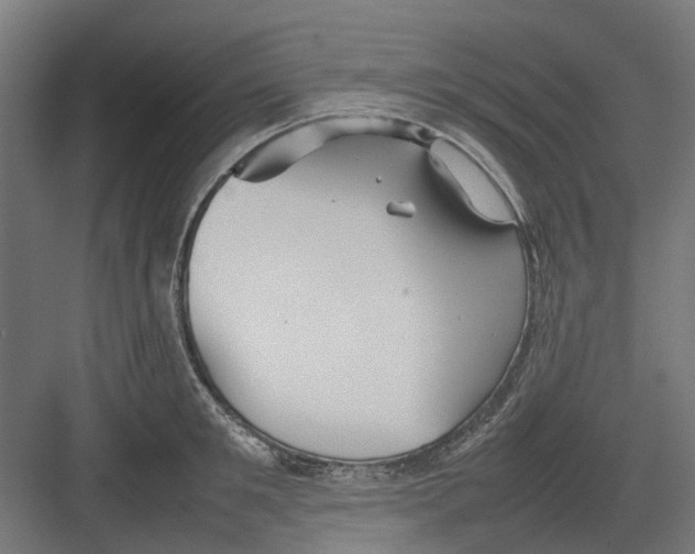 X0000082140901200702162139