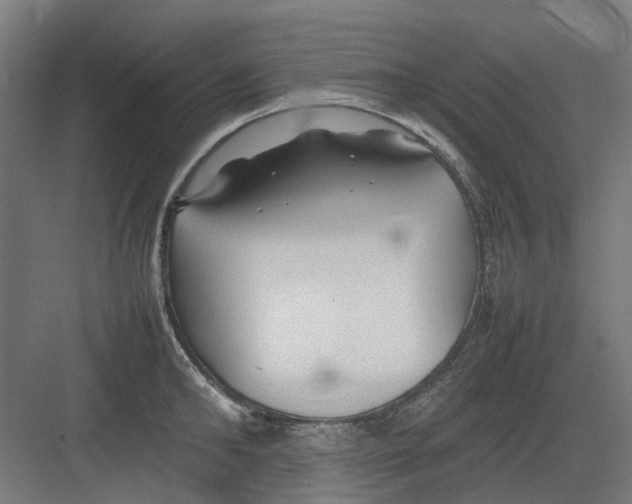 X0000082140902200702162139