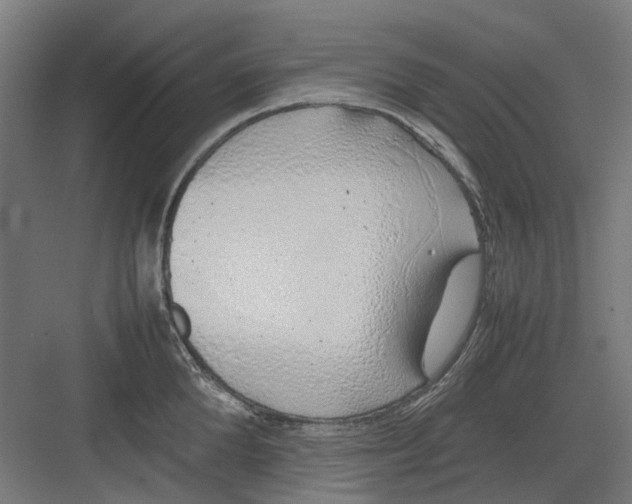 X0000082140904200702162139