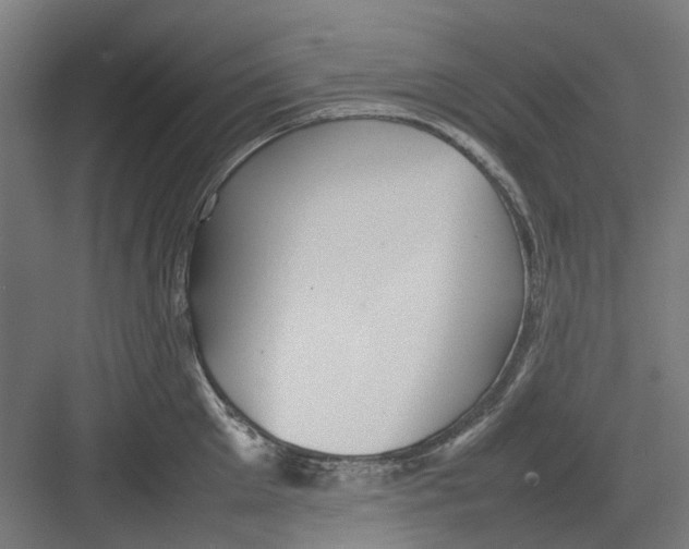 X0000082140905200702162139