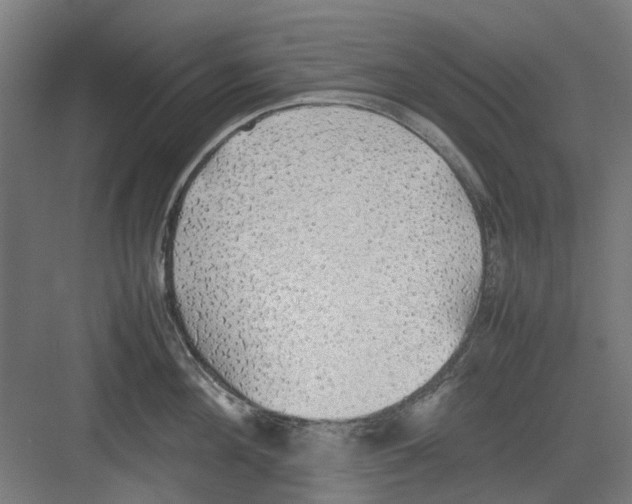 X0000082140908200702162139