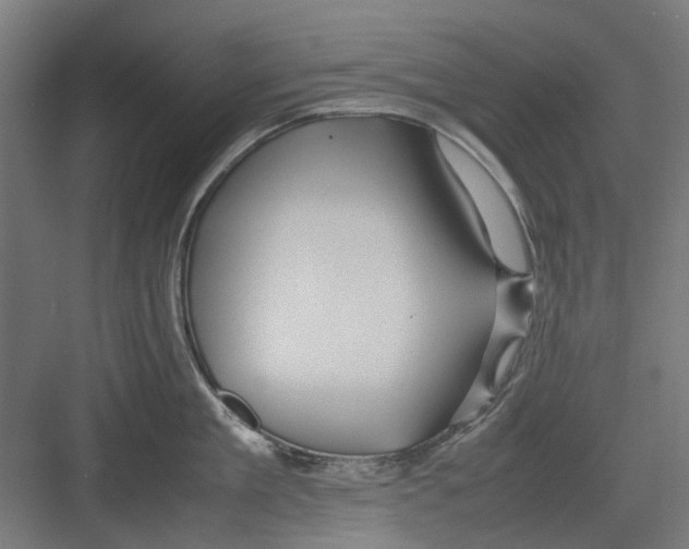 X0000082140909200702162139