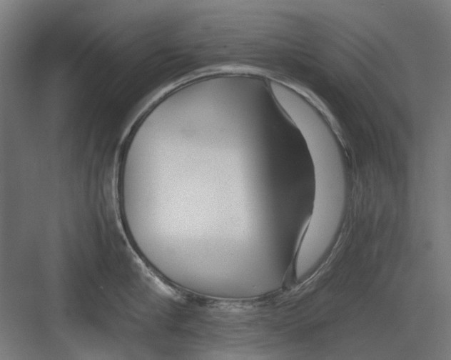 X0000082140910200702162139