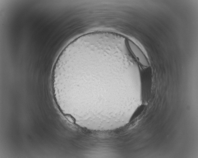 X0000082140911200702162139