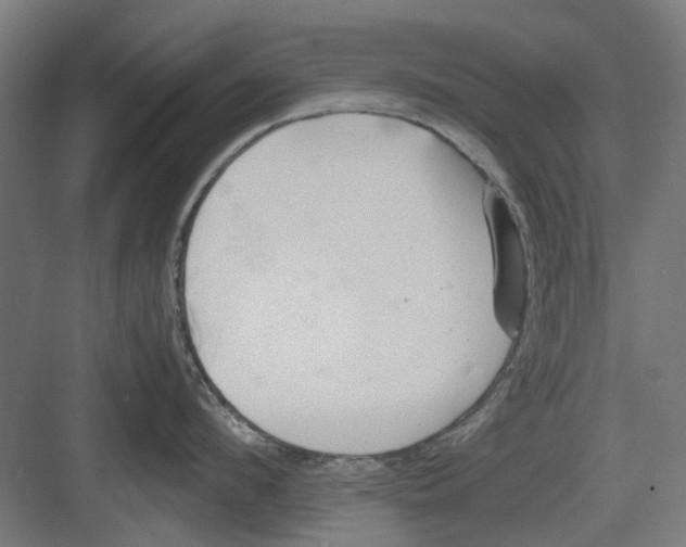 X0000082140912200702162139