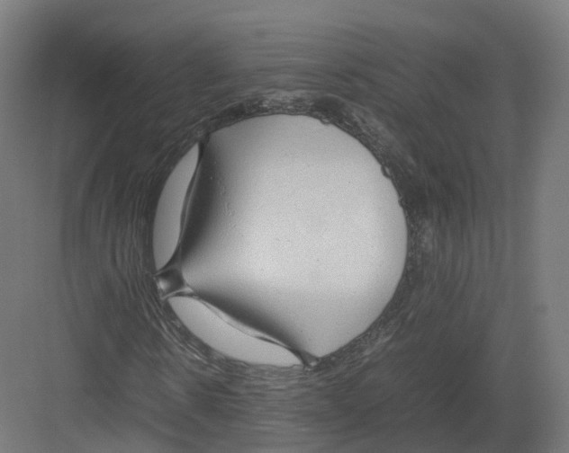 X0000082140914200702162138