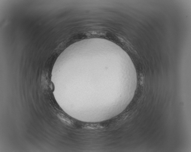 X0000082140915200702162138