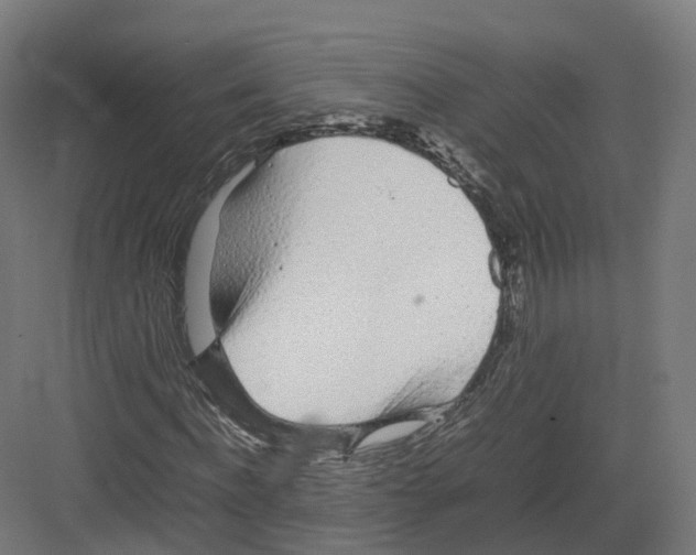 X0000082140916200702162138