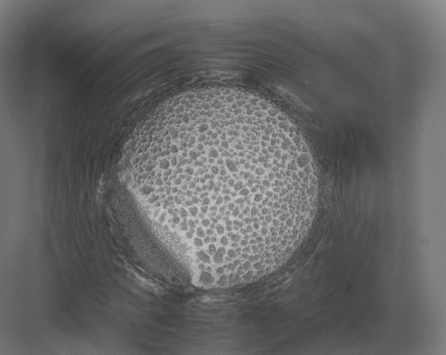 X0000082140917200702162139