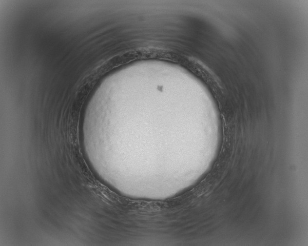 X0000082140919200702162139