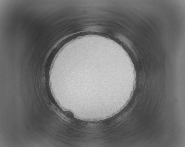 X0000082140923200702162139