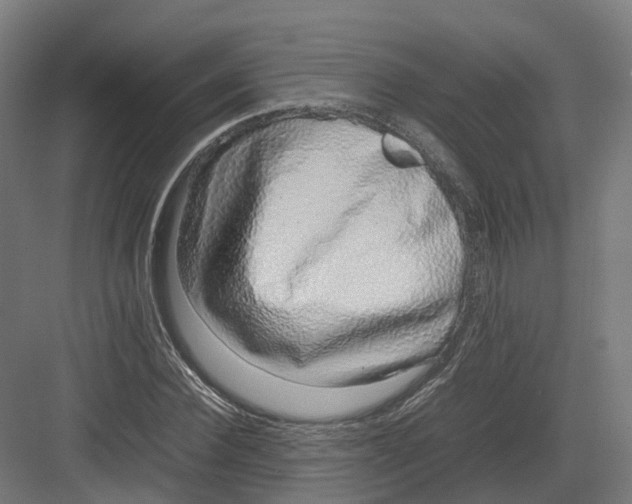 X0000082140924200702162139