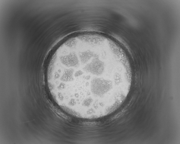 X0000082140925200702162139