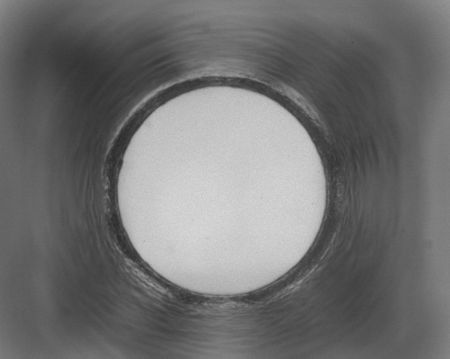 X0000082140926200702162139