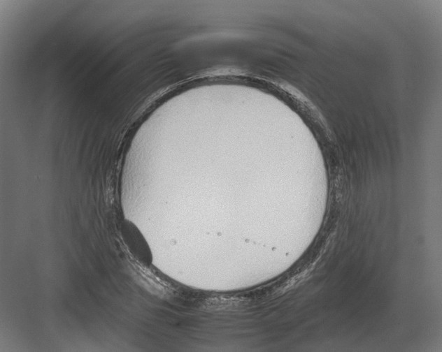 X0000082140929200702162139